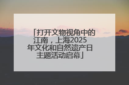 打开文物视角中的江南，上海2025年文化和自然遗产日主题活动启幕