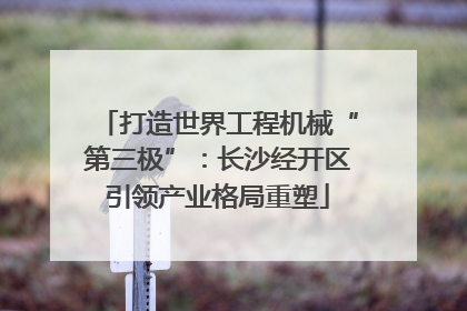 打造世界工程机械“第三极”：长沙经开区引领产业格局重塑