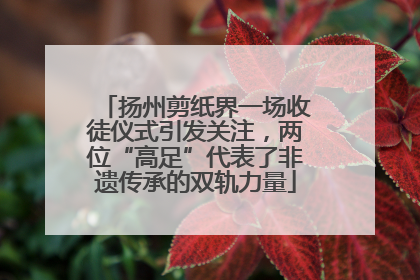 扬州剪纸界一场收徒仪式引发关注，两位“高足”代表了非遗传承的双轨力量