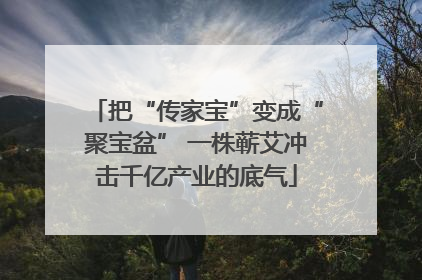 把“传家宝”变成“聚宝盆” 一株蕲艾冲击千亿产业的底气