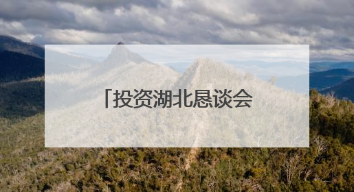 投资湖北恳谈会在大阪举办，携手深化鄂日合作