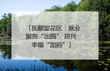抚顺望花区：就业服务“出圈” 居民幸福“加码”