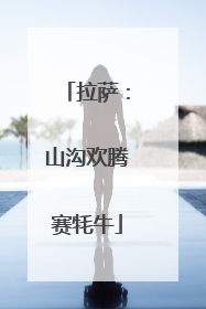 拉萨：山沟欢腾赛牦牛