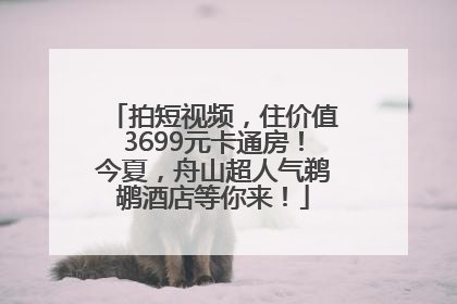 拍短视频，住价值3699元卡通房！今夏，舟山超人气鹈鹕酒店等你来！