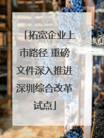 拓宽企业上市路径 重磅文件深入推进深圳综合改革试点