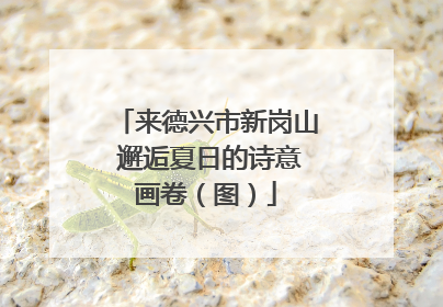 来德兴市新岗山 邂逅夏日的诗意画卷（图）