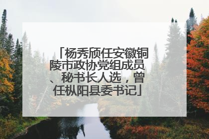 杨秀颀任安徽铜陵市政协党组成员、秘书长人选，曾任枞阳县委书记
