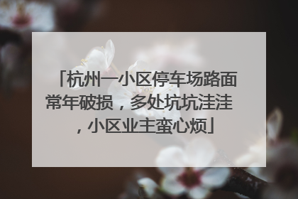 杭州一小区停车场路面常年破损，多处坑坑洼洼，小区业主蛮心烦