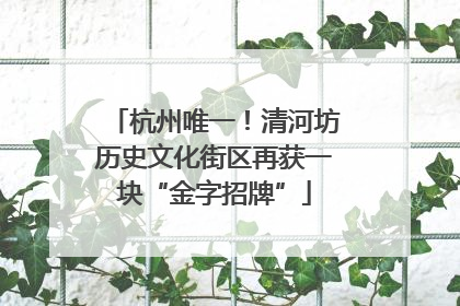 杭州唯一！清河坊历史文化街区再获一块“金字招牌”