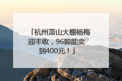 杭州萧山大棚杨梅迎丰收，96颗能卖到400元！