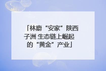 林麝“安家”陕西子洲 生态链上崛起的“黄金”产业