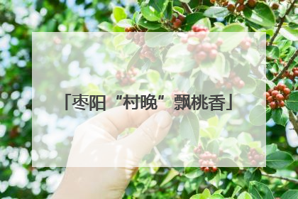 枣阳“村晚”飘桃香