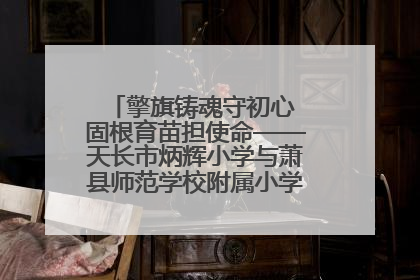 擎旗铸魂守初心 固根育苗担使命——天长市炳辉小学与萧县师范学校附属小学结对共建活动纪实