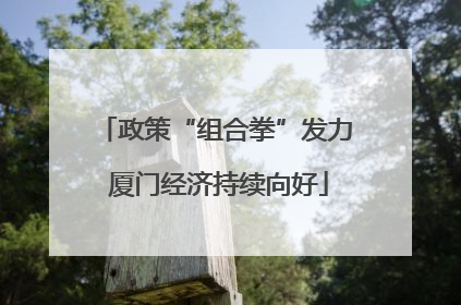 政策“组合拳”发力 厦门经济持续向好