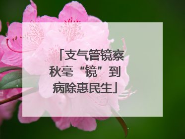 支气管镜察秋毫“镜”到病除惠民生