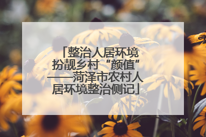 整治人居环境 扮靓乡村“颜值”——菏泽市农村人居环境整治侧记