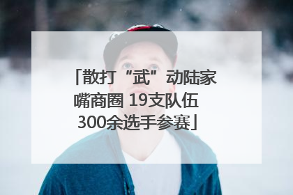 散打“武”动陆家嘴商圈 19支队伍300余选手参赛