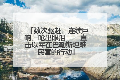 数次驱赶、连续巨响、呛出眼泪——直击以军在巴勒斯坦难民营的行动