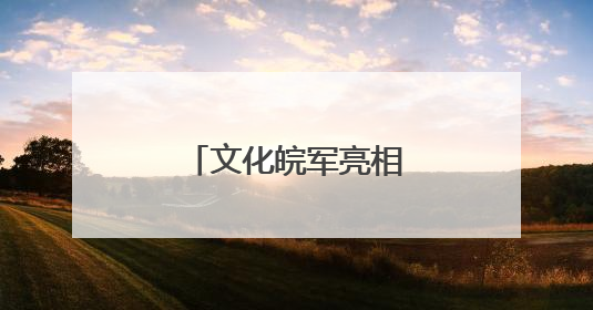 文化皖军亮相深圳文博会