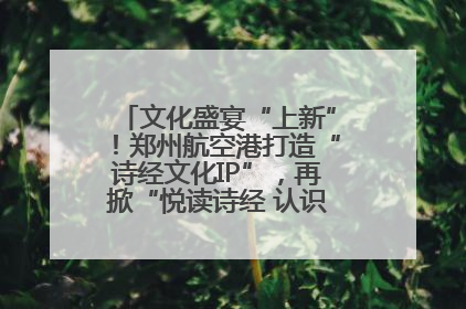 文化盛宴“上新”！郑州航空港打造“诗经文化IP”，再掀“悦读诗经 认识家乡路”活动热潮