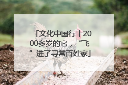 文化中国行丨2000多岁的它，“飞”进了寻常百姓家