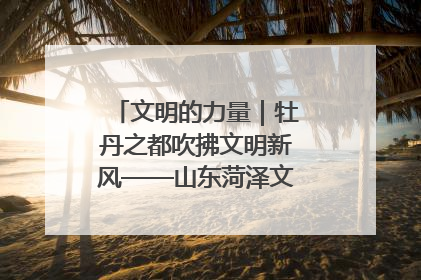 文明的力量｜牡丹之都吹拂文明新风——山东菏泽文明创建一线见闻