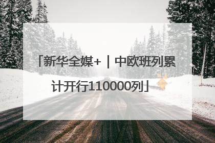 新华全媒+｜中欧班列累计开行110000列