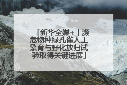 新华全媒+丨濒危物种绿孔雀人工繁育与野化放归试验取得关键进展