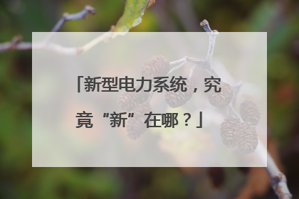 新型电力系统，究竟“新”在哪？