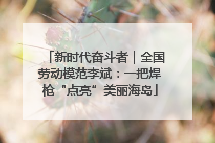 新时代奋斗者｜全国劳动模范李斌：一把焊枪“点亮”美丽海岛