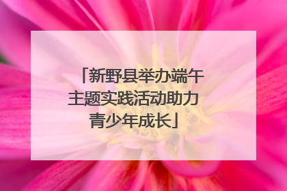 新野县举办端午主题实践活动助力青少年成长
