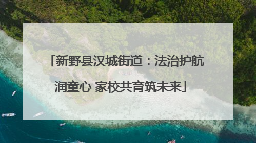 新野县汉城街道：法治护航润童心 家校共育筑未来