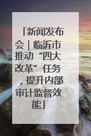 新闻发布会｜临沂市推动“四大改革”任务，提升内部审计监督效能