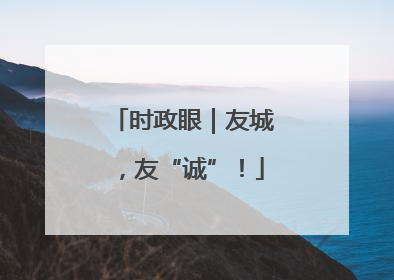 时政眼｜友城，友“诚”！