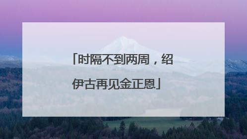 时隔不到两周，绍伊古再见金正恩