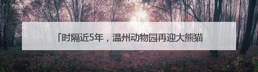 时隔近5年，温州动物园再迎大熊猫“宝弟”“宝妹”，明日正式开馆！