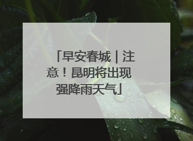 早安春城｜注意！昆明将出现强降雨天气