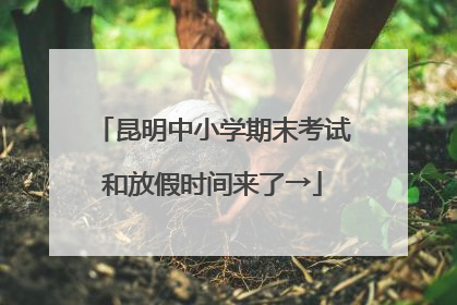 昆明中小学期末考试和放假时间来了→