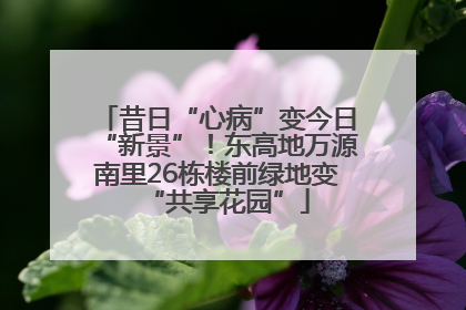昔日“心病”变今日“新景”！东高地万源南里26栋楼前绿地变“共享花园”