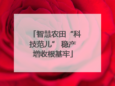 智慧农田“科技范儿” 稳产增收根基牢