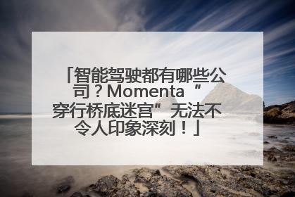 智能驾驶都有哪些公司？Momenta“穿行桥底迷宫”无法不令人印象深刻！