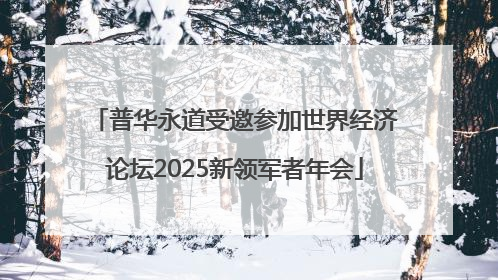 普华永道受邀参加世界经济论坛2025新领军者年会