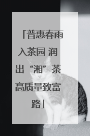 普惠春雨入茶园 润出“湘”茶高质量致富路