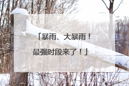 暴雨、大暴雨！最强时段来了！