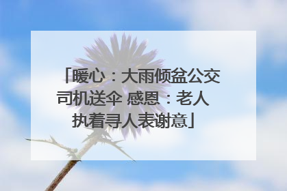暖心：大雨倾盆公交司机送伞 感恩：老人执着寻人表谢意