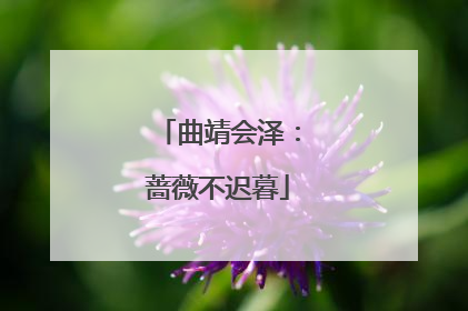 曲靖会泽：蔷薇不迟暮