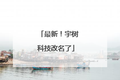 最新！宇树科技改名了