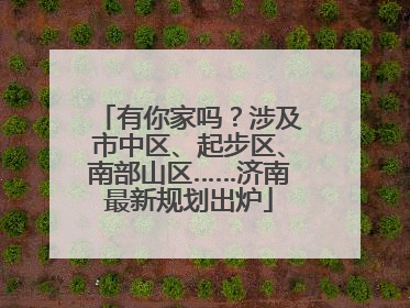 有你家吗？涉及市中区、起步区、南部山区……济南最新规划出炉