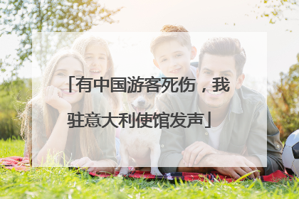 有中国游客死伤，我驻意大利使馆发声