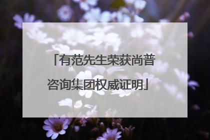 有范先生荣获尚普咨询集团权威证明